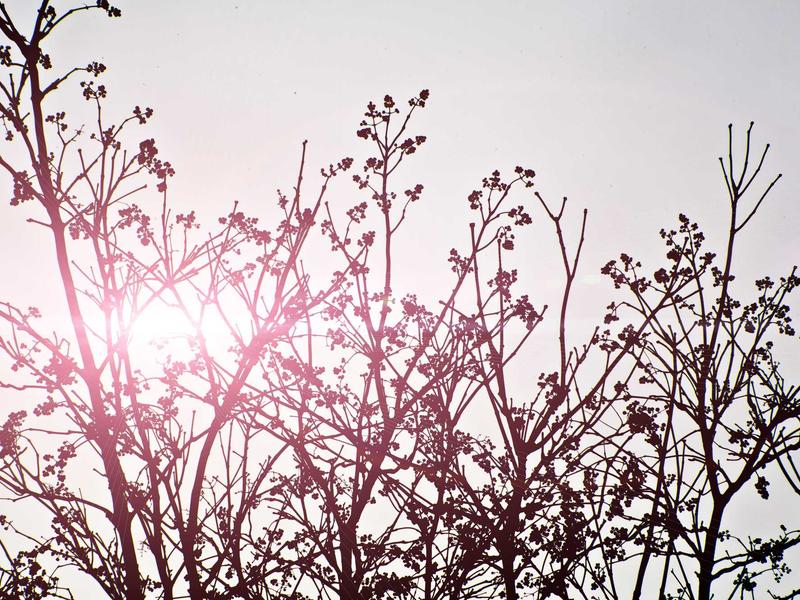 sudoku strategy guide screenshot 6